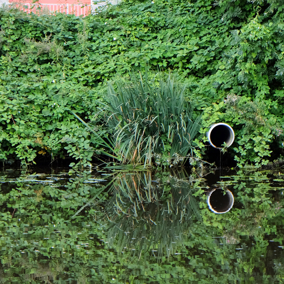Fotografie workshop op het water